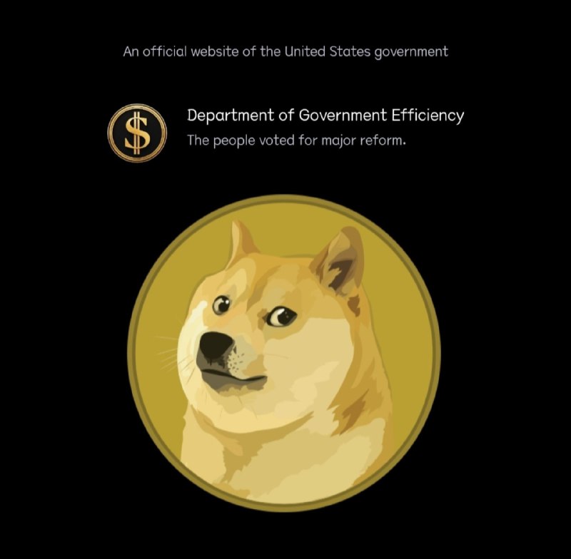 马斯克DOGE部门上线，目标削减万亿联邦支出2025年1月21日，由特斯拉和SpaceX CEO埃隆·马斯克领导的“政府效率部”（DOGE）官方网站正式上线