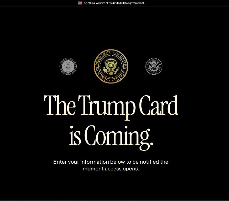 特朗普为即将推出的“王牌”（Trump Card）开设网站